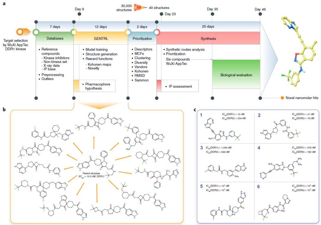 Nature Biotechnology | 46天!深度學習加速DDR1激酶抑制劑研發 Nature Biotechnology | 46天!深度學習加速DDR1激酶抑制劑研發