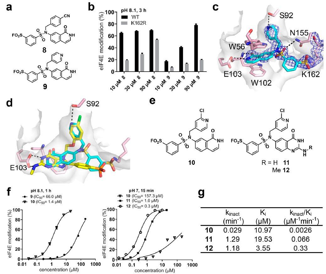 JACS | 共價對接發現難成藥靶點eIF4E共價抑制劑