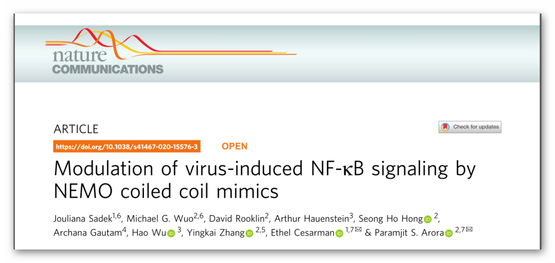 Nature Communications丨理性設計抗卡波氏肉瘤vFLIP-NEMO蛋白-蛋白相互作用抑制劑 Nature Communications丨理性設計抗卡波氏肉瘤vFLIP-NEMO蛋白-蛋白相互作用抑制劑