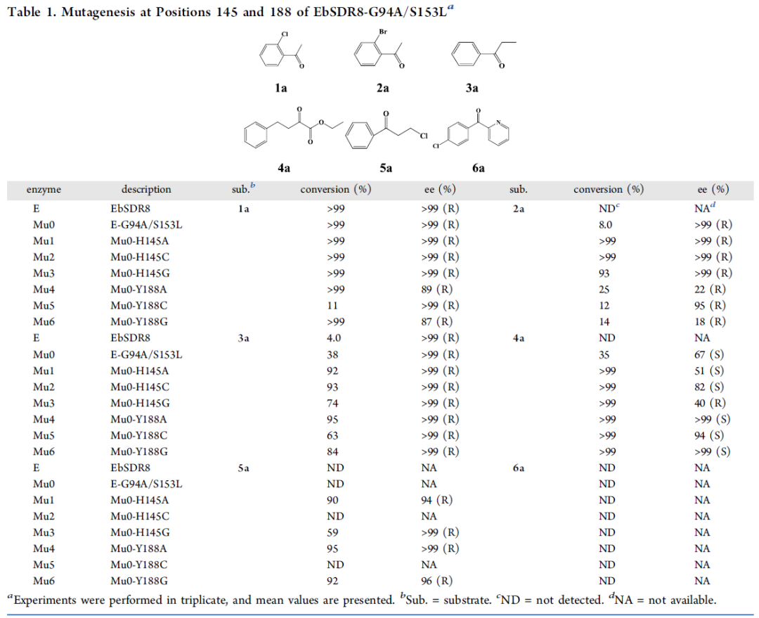 ACS Catalysis | 基于分子動力學模擬的脫氫/還原酶的理性設計 ACS Catalysis | 基于分子動力學模擬的脫氫/還原酶的理性設計