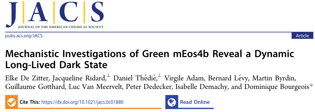 JACS | 分子動力學揭示綠色熒光蛋白mEos4b的發光機制 JACS | 分子動力學揭示綠色熒光蛋白mEos4b的發光機制