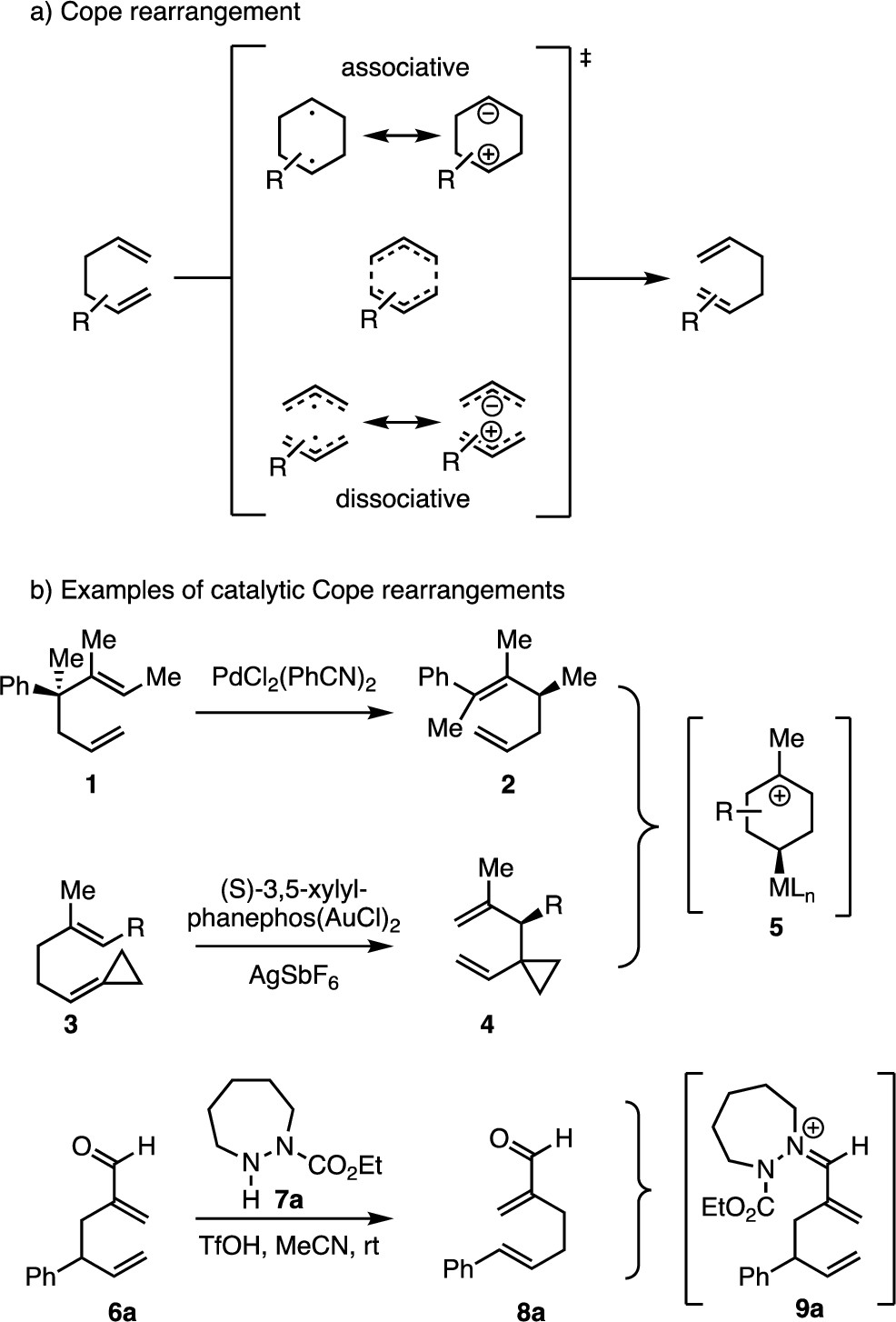 JACS | 環越大催化效率越高？計算加實驗研究Cope重排反應機制