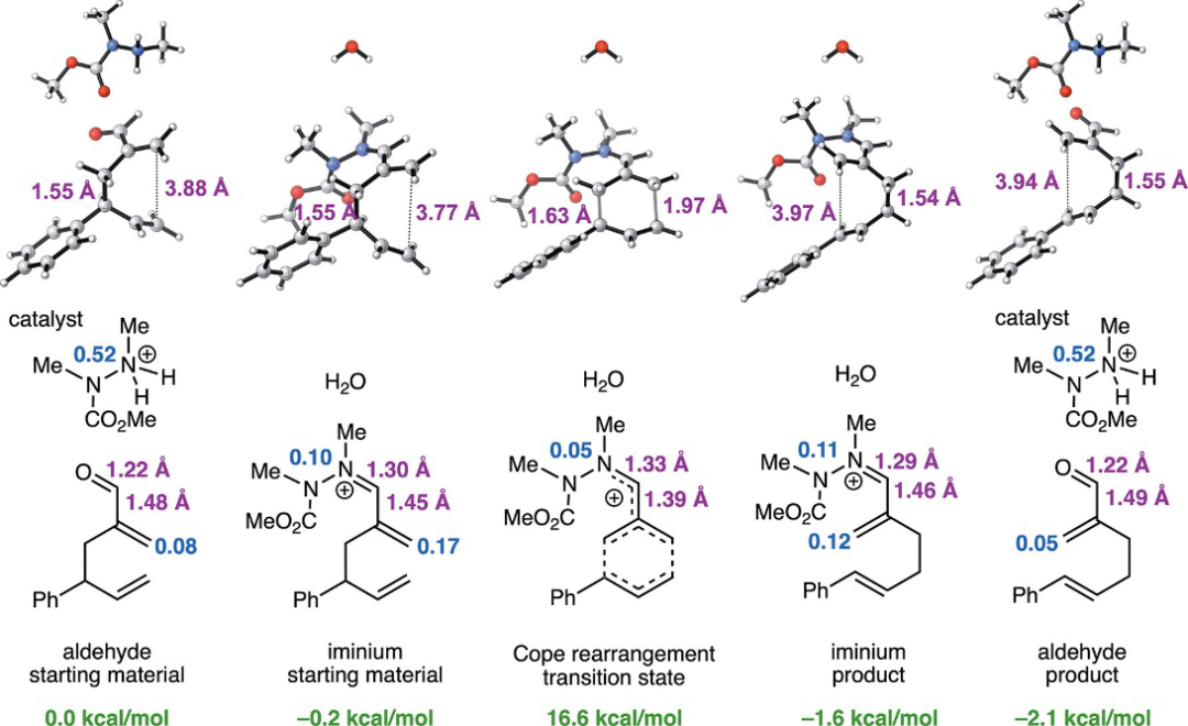 JACS | 環越大催化效率越高？計算加實驗研究Cope重排反應機制