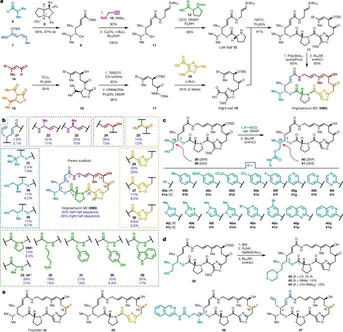 Nature | 理性藥物設計發現新型抗耐藥A型鏈陽菌類抗生素 Nature | 理性藥物設計發現新型抗耐藥A型鏈陽菌類抗生素