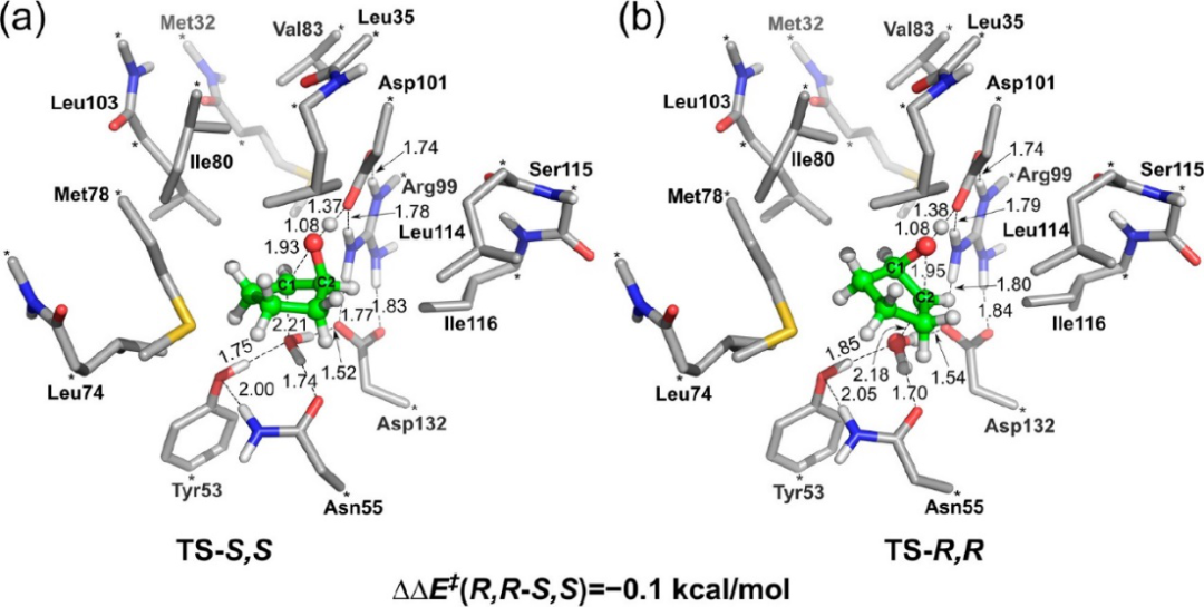 ACS Catalysis | 量子化學方法研究酶催化的立體選擇性 ACS Catalysis | 量子化學方法研究酶催化的立體選擇性