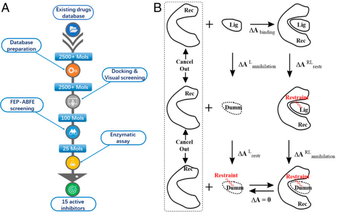PNAS | 基于加速自由能微擾的虛擬篩選方法從藥物庫中發現SARS-CoV-2抑制劑 PNAS | 基于加速自由能微擾的虛擬篩選方法從藥物庫中發現SARS-CoV-2抑制劑