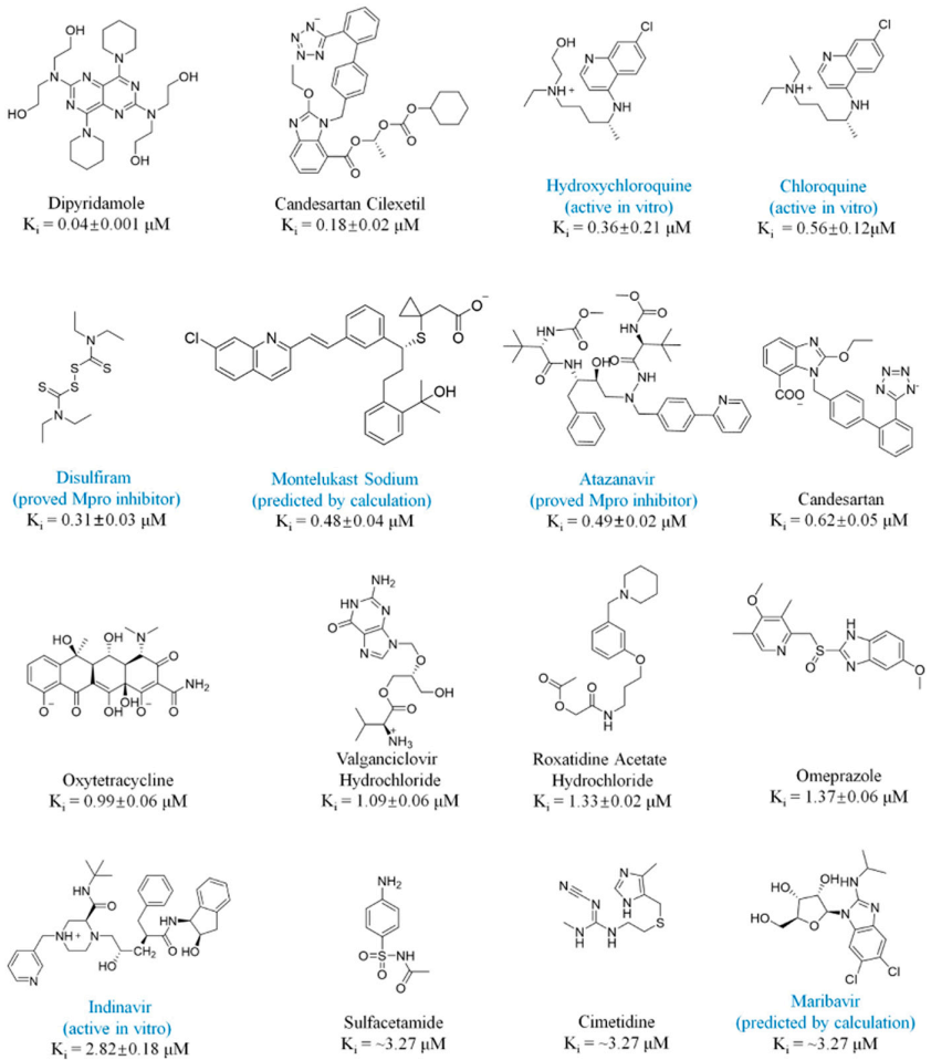 PNAS | 基于加速自由能微擾的虛擬篩選方法從藥物庫中發現SARS-CoV-2抑制劑 PNAS | 基于加速自由能微擾的虛擬篩選方法從藥物庫中發現SARS-CoV-2抑制劑