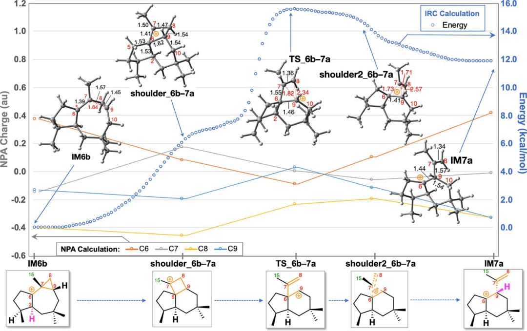 JACS | 量子化學計算揭示巴西烷型倍半萜生物合成新機制 JACS | 量子化學計算揭示巴西烷型倍半萜生物合成新機制