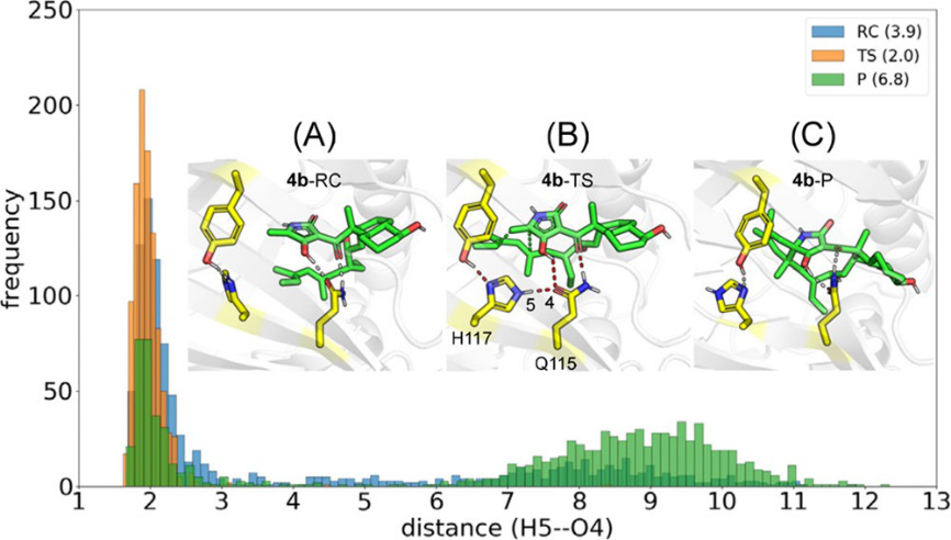 JACS | 量子化學計算揭示D-A環加成酶PyrI4的催化機制 JACS | 量子化學計算揭示D-A環加成酶PyrI4的催化機制