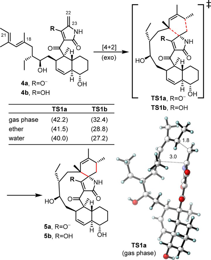 JACS | 量子化學計算揭示D-A環加成酶PyrI4的催化機制 JACS | 量子化學計算揭示D-A環加成酶PyrI4的催化機制