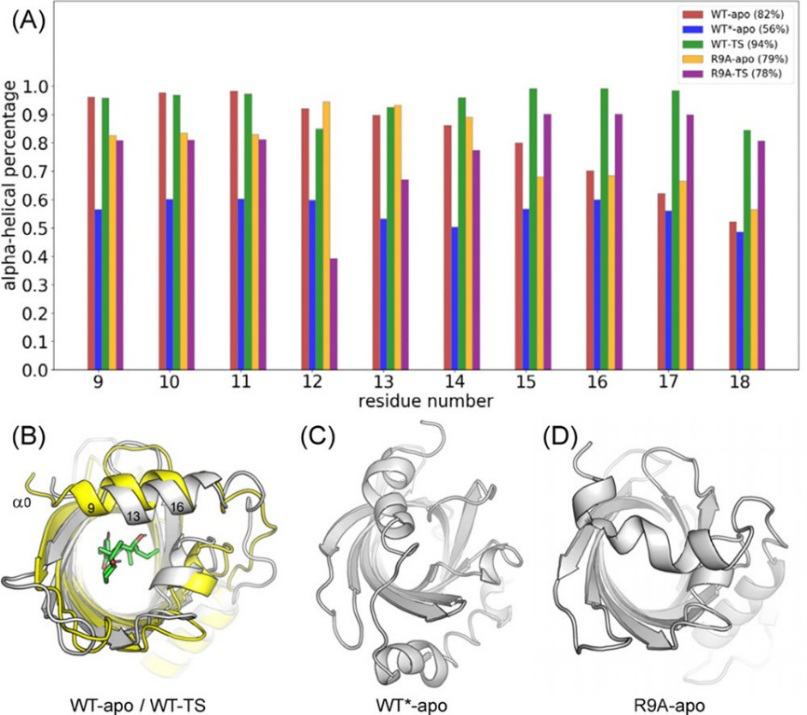 JACS | 量子化學計算揭示D-A環加成酶PyrI4的催化機制 JACS | 量子化學計算揭示D-A環加成酶PyrI4的催化機制