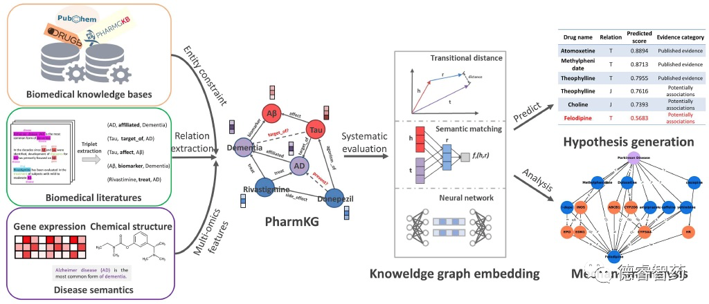 PharmKG:專用于生物醫藥數據挖掘的知識圖譜 PharmKG:專用于生物醫藥數據挖掘的知識圖譜