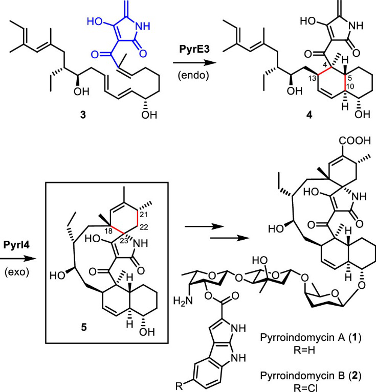 JACS | 量子化學計算揭示D-A環加成酶PyrI4的催化機制 JACS | 量子化學計算揭示D-A環加成酶PyrI4的催化機制