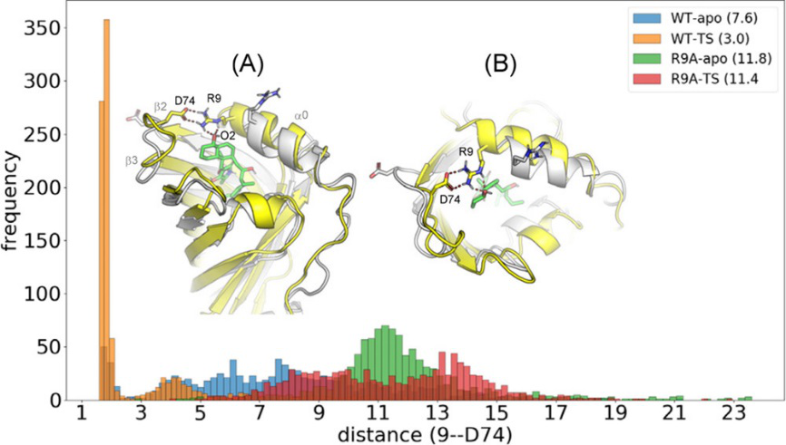 JACS | 量子化學計算揭示D-A環加成酶PyrI4的催化機制 JACS | 量子化學計算揭示D-A環加成酶PyrI4的催化機制