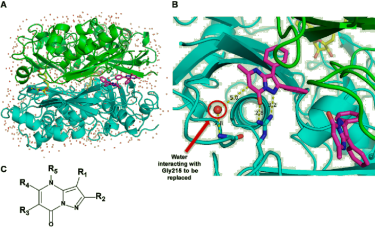 JMC | AG-270: First-in-Class MAT2A小分子抑制劑用于治療MTAP缺失引起的腫瘤