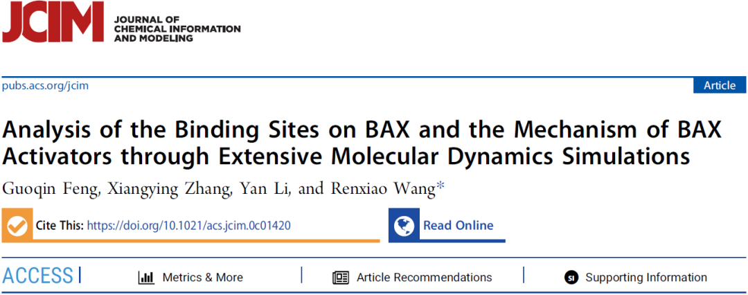 前沿(第八期):JCIM | 分子動力學模擬揭示BAX蛋白的激活機制 前沿(第八期):JCIM | 分子動力學模擬揭示BAX蛋白的激活機制