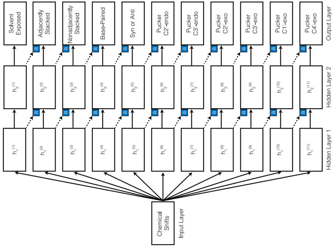 JCIM | CS-Annotate:用化學位移注釋RNA結構的深度學習在線工具 JCIM | CS-Annotate:用化學位移注釋RNA結構的深度學習在線工具