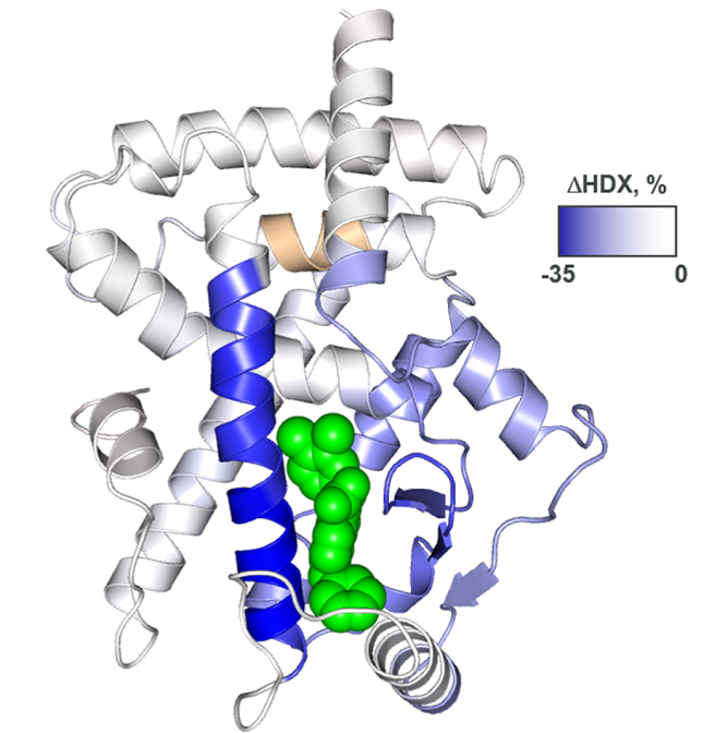 ACS Med. Chem. Lett. | 虛擬篩選發現CDK5介導的PPARγ磷酸化抑制劑 ACS Med. Chem. Lett. | 虛擬篩選發現CDK5介導的PPARγ磷酸化抑制劑