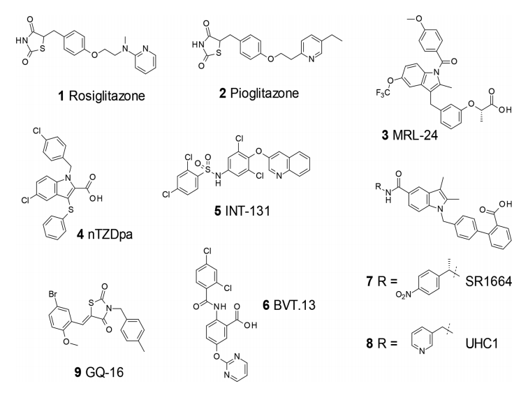 ACS Med. Chem. Lett. | 虛擬篩選發現CDK5介導的PPARγ磷酸化抑制劑 ACS Med. Chem. Lett. | 虛擬篩選發現CDK5介導的PPARγ磷酸化抑制劑