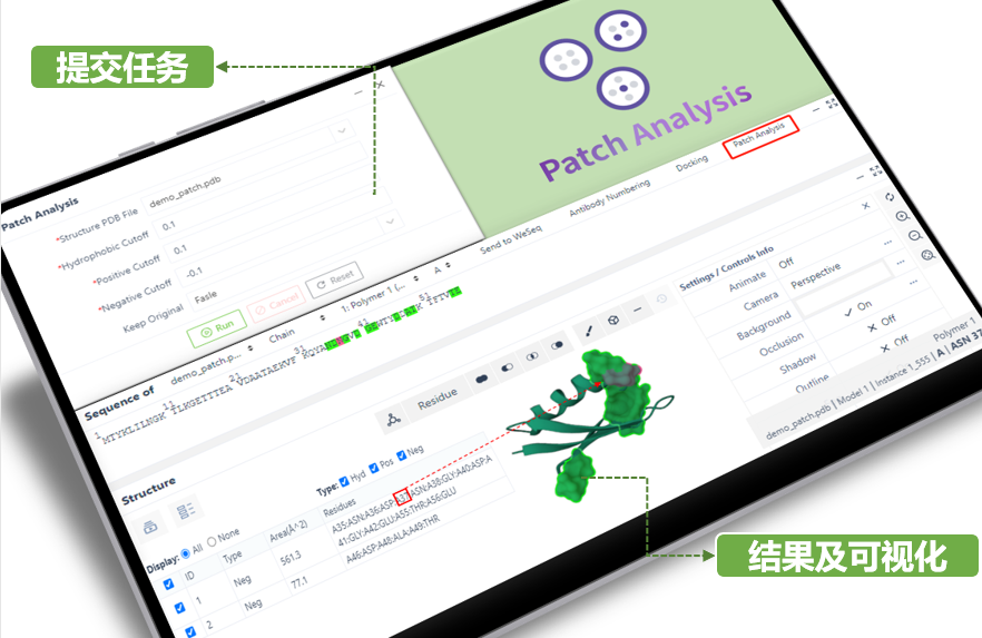 破壞抗體表面正電荷分布優化抗體PK 破壞抗體表面正電荷分布優化抗體PK